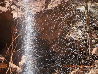 53 6ev. Zion National Park - Emerald Ponds hike - waterfall