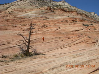 Zion National Park - slickrock hill - Adam in the distance