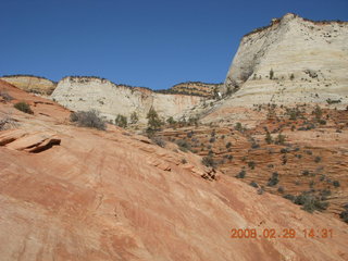 Zion National Park - slickrock hill - Adam in the distance