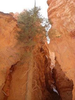 Bryce Canyon - Navajo Loop hike - deep footprints