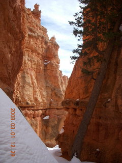 Bryce Canyon - Navajo Loop hike - my foot with Yaktrax and deep footprint