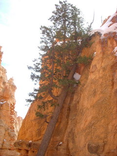 236 6f1. Bryce Canyon - Navajo Loop hike