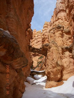 239 6f1. Bryce Canyon - Navajo Loop hike
