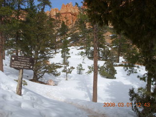 245 6f1. Bryce Canyon - Navajo Loop hike