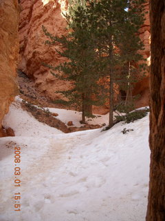 Bryce Canyon - bluebird and my foot