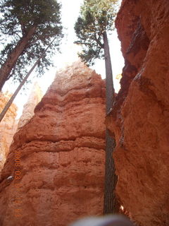 313 6f1. Bryce Canyon - Navajo Loop hike