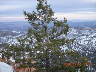 398 6f1. Bryce Canyon - view from viewpoint