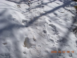 Bryce Canyon - Queens Garden hike - patterns in the snow