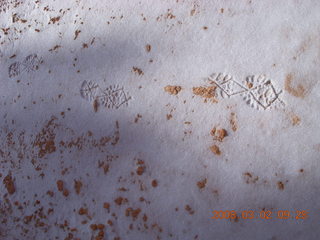 Bryce Canyon - Queens Garden hike - my Yaktrax prints