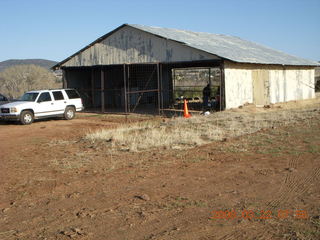 Chapman Ranch Airport runway with cows