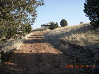 Chapman Ranch Airport runway with cows