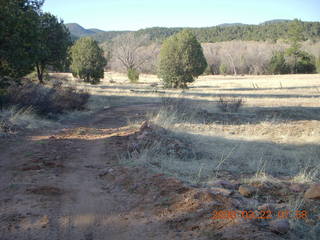 Chapman Ranch run