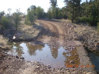 Chapman Ranch run