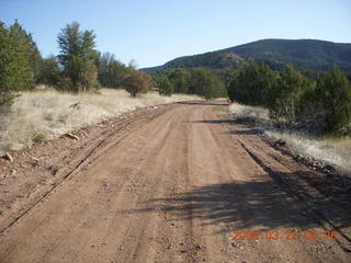 Chapman Ranch run