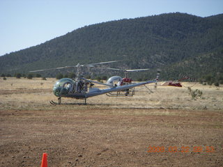 Chapman Ranch Airport fly-in - cows