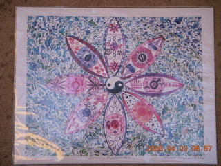 Jerry taking pictures in N4372J