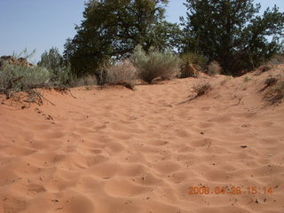 104 6gs. Snow Canyon - Petrified Dunes trail