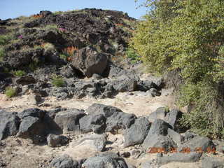 116 6gs. Snow Canyon - Butterfly trail - lava