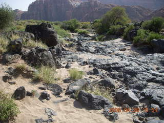 117 6gs. Snow Canyon - Butterfly trail - lava
