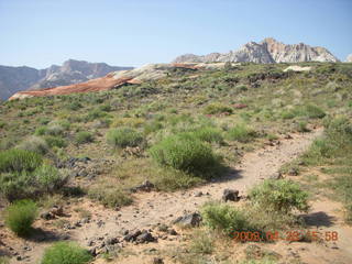 119 6gs. Snow Canyon - Butterfly trail