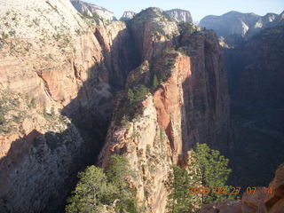 Zion National Park - Angels Landing hike - red flowers