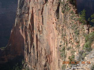 64 6gt. Zion National Park - Angels Landing hike - sheerface with climbers
