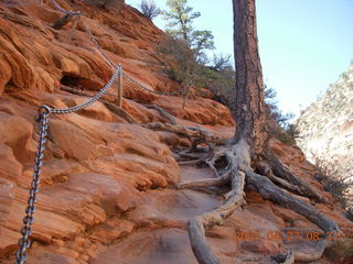 82 6gt. Zion National Park - Angels Landing hike - chains