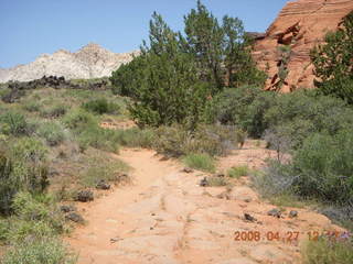 98 6gt. Snow Canyon - Butterfly trail