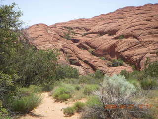 100 6gt. Snow Canyon - Butterfly trail