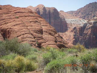101 6gt. Snow Canyon - Butterfly trail