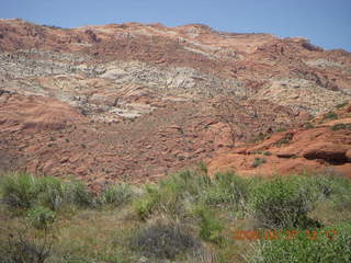 104 6gt. Snow Canyon - Butterfly trail