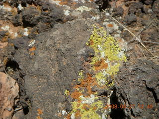 149 6gt. Snow Canyon - Lava Flow cave - multicolor lichens