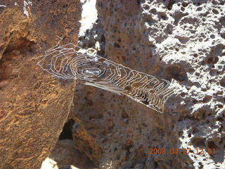 153 6gt. Snow Canyon - Lava Flow cave - spider web