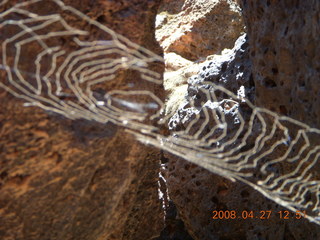 Snow Canyon - Lava Flow cave - spider web