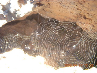 155 6gt. Snow Canyon - Lava Flow cave - spider web