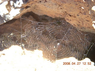 156 6gt. Snow Canyon - Lava Flow cave - spider web
