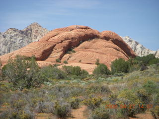 207 6gt. Snow Canyon - Butterfly trail
