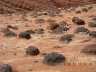 218 6gt. Snow Canyon - Petrified Dunes - nodules close up