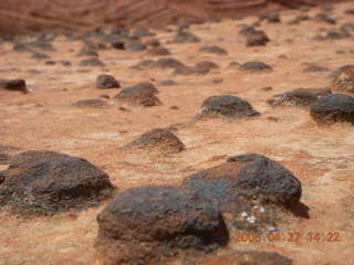 219 6gt. Snow Canyon - Petrified Dunes - nodules very close up