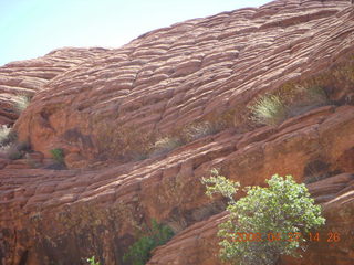 Snow Canyon - Petrified Dunes - nodules