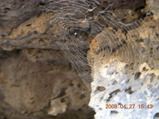 286 6gt. Snow Canyon - Lava Flow cave - spider web