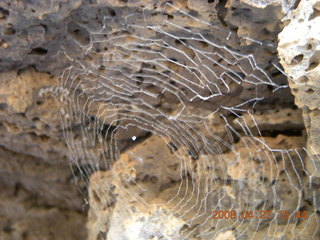 287 6gt. Snow Canyon - Lava Flow cave - spider web