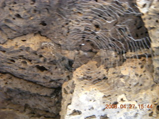 288 6gt. Snow Canyon - Lava Flow cave - spider web