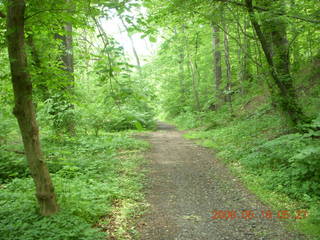 spring in Tookany Creek Park