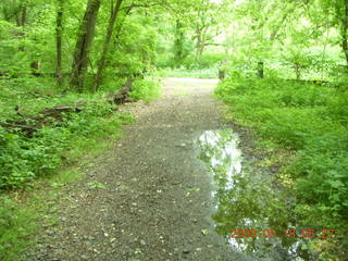 spring in Tookany Creek Park