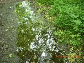 spring in Tookany Creek Park