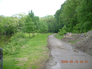 spring in Tookany Creek Park