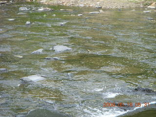 spring in Tookany Creek Park