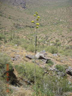 Windgate hike