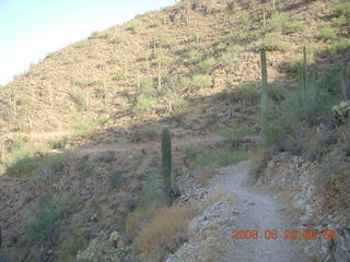 Sunrise Peak trail